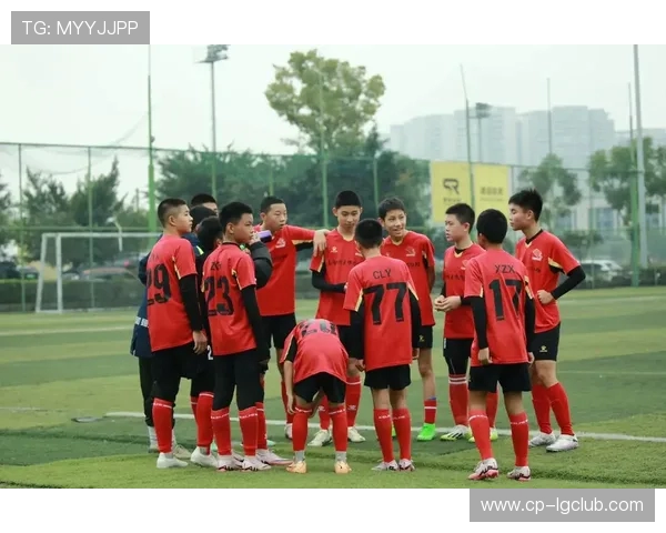 我的年度足球挑战全纪录从球场训练到比赛心得与精彩瞬间经验分享